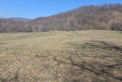 Spațiu comercial, în Zmeurătu - 4