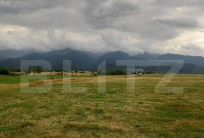 Teren extravilan 8600 mp, Car?i?oara- Coasta lui Nache - 1