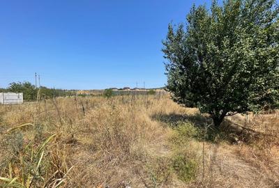 Teren intravilan 1174mp in Dudovicesti cu deschiderea de 41m POT 35% CUT 1,05 - 2