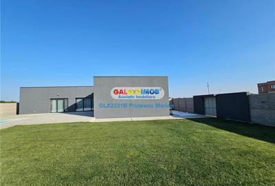 Vanzare casa de Lux cu piscina in aer liber situata in comuna Clinceni Vanzare casa de Lux cu piscina in aer liber situata in comuna Clinceni - 30