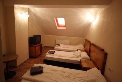 Vila  destinatie camin batrani - 20