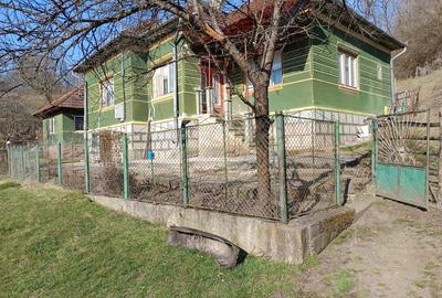 Casă cu 3 camere cu Teren 5208 Mp în Oprișești - 2