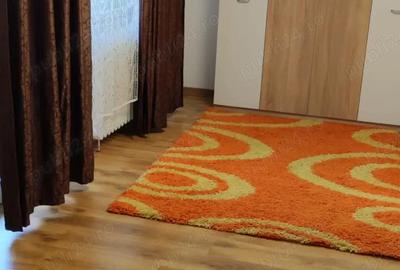 Garsoniera Dristor Garsoniera Dristor - 5