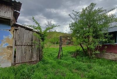 Casă cu 4 camere cu Teren 10000 Mp în Tulești - 11