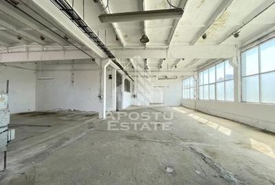 Hala depozitare sau productie, 470 mp, Zona Buziasului - 1