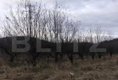 Teren de 1037 mp, în Central - 1