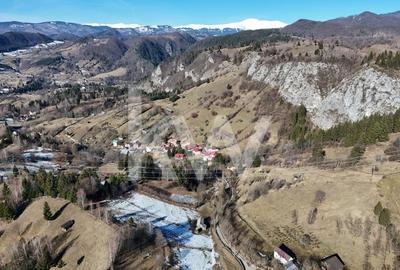 Teren Construcții intravilan de 4219 mp, în Dâmbovicioara - 4