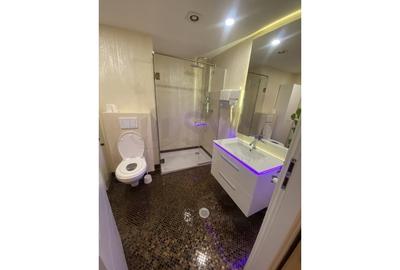 REA1009754 Apartament LUX 2 camere Cartierul FrancezI terasa si dressing - 6