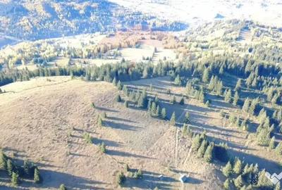 Teren de 47732 mp, în Panaci - 1
