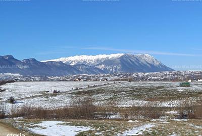 Spațiu comercial, în Sohodol - 3