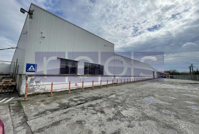 Spațiu industrial, de 19,300 mp, în Odăi - 18
