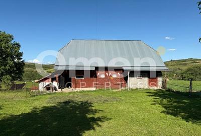 Casă la țară cu șură și grajd, în Vălenii Lăpușului – priveliște panoramică - 4