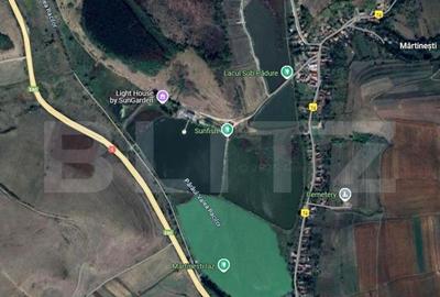 Teren extravilan de vanzare, 2680 mp, zona Lacuri Martinesti - 3
