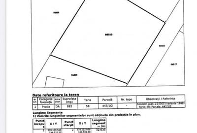 Teren 892 MP SITUAT IN MOGOSOAIA ILFOV - 4
