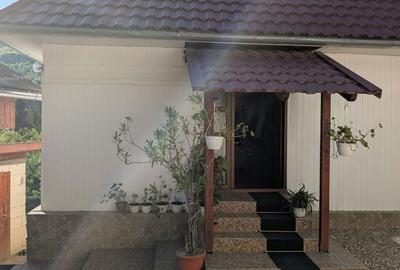 Casă cu 3 camere în Vidra - 6