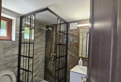 Vila Vetel zona Valea Caoi-OFERTA SPECIALA DE SARBATORI - 8