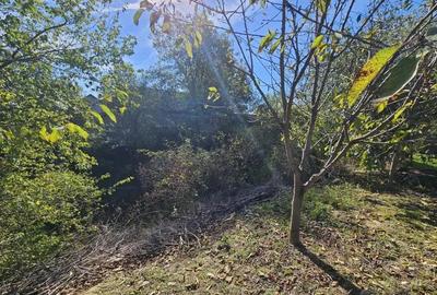 Vanzare teren *intravilan 308 mp cu utilita?i* - Sat Ceauru, Comuna Bale?ti - 3