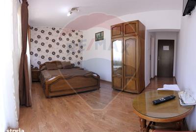 Spațiu comercial, de 750 mp, în Făget - 9