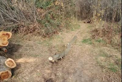 Vand teren intravilan - 2