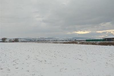Teren Construcții intravilan de 6200 mp, în Jucu de Mijloc - 3
