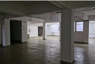 Republica showroom activitati multiple - 2