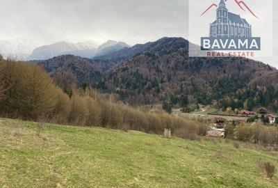Teren Extravilan de vanzare Glajarie - 3