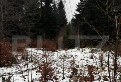 Teren unic, exclusivist 4000 mp, in inima muntilor, Sinaia - 7