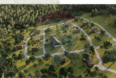 Teren Construcții intravilan de 24253 mp, în Predeluț - 6