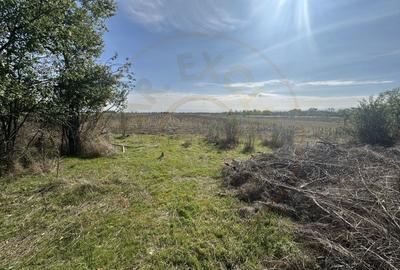 Teren 5216 mp la 2 pasi de autostrada A1 - com. Ratesti Teren 5216 mp la 2 pasi de autostrada A1 - com. Ratesti - 4