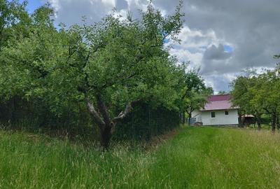 Grosi, 2 case , 7 ari teren Grosi, 2 case , 7 ari teren - 11