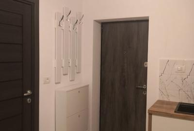 Garsonieră decomandată, mobilată în Podgoria - 14