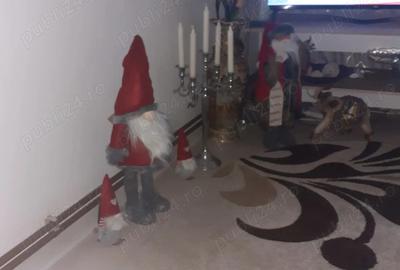 Casă cu 3 camere în Coman - 5