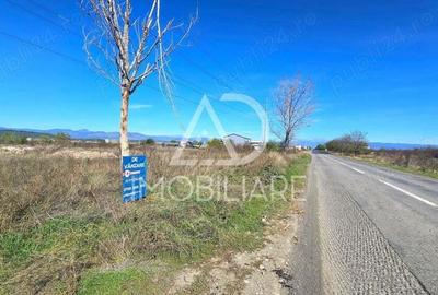 Teren în Narciselor - 3