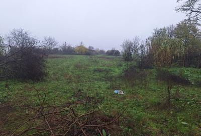 Spațiu comercial, în Central - 3