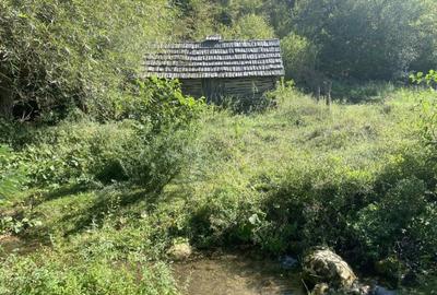 Casa de vanzare+teren - 4