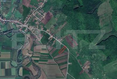 Teren de 13000 mp, în Central