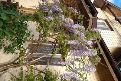 Casă cu 4 camere în Dobreni - 9