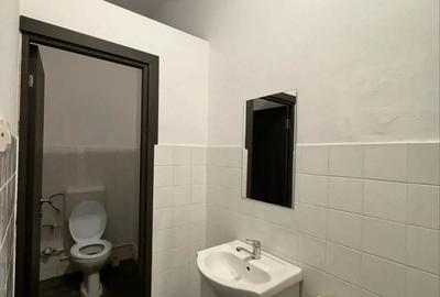 Spatiu comercial b-dul Decebal - 6