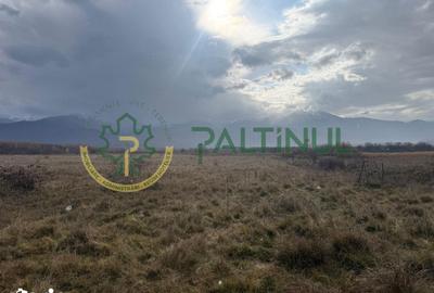 Teren de 3600 mp, în Porumbacu de Jos