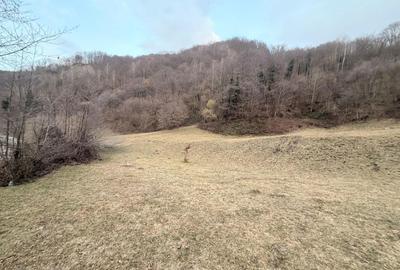 Spațiu comercial, în Baru - 2