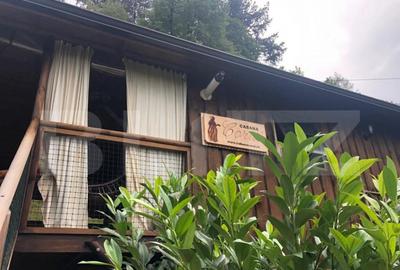 De vanzare teren intravilan in zona Schei (+cabana) - 2