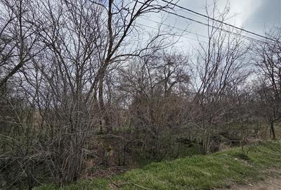 Teren Construcții intravilan de 9658 mp, în Bujoreanca - 2