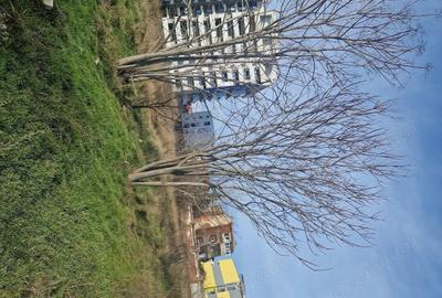 Teren de 167 mp, în Tudor Vladimirescu - 3