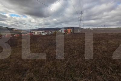 Teren de 4642 mp, în Baciu - 3