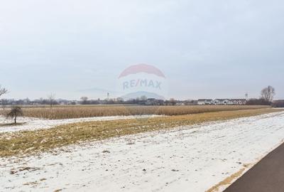 Oportunitate investițională – Teren intravilan 5.646 mp, Stupini - 6