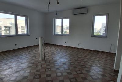 Penthouse cu 9 camere decomandat în Splaiul Unirii - 23