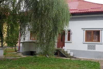Vanzare casa+teren Valea Brazilor, Baiculesti, AG - 3