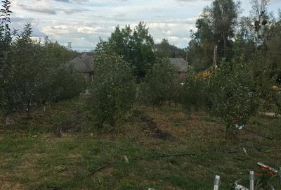 Casă în Șomcuta Mare - 5