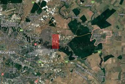 Teren intravilan de 802 mp langa padure Teren intravilan de 802 mp langa padure - 1
