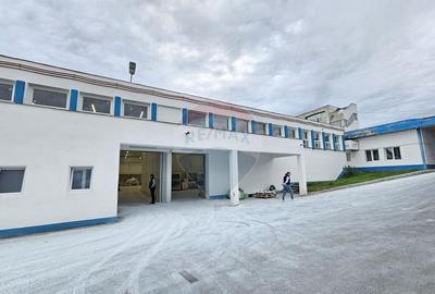 Spa?iu industrial de vanzare - 5